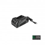 ΤΑΧΥΦΟΡΤΙΣΤΗΣ FF GROUP CH 40V/2A 42409