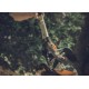 FISKARS - ΚΛΑΔΕΥΤΗΡΙ ΚΟΡΥΦΗΣ ΤΗΛΕΣΚΟΠΙΚΟ UPX86 2,4-4,0m Φ32mm με ΠΡΙΟΝΙ - 102364102 FISKARS - ΚΛΑΔΕΥΤΗΡΙ ΚΟΡΥΦΗΣ ΤΗΛΕΣΚΟΠΙΚΟ UPX86 2,4-4,0m Φ32mm με ΠΡΙΟΝΙ - 102364102