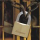 Master Lock - 1145EURD Μπρούτζινο λουκέτο πέταλο βαρέως τύπου με εξάγωνο λαιμό 40mm - 114500112