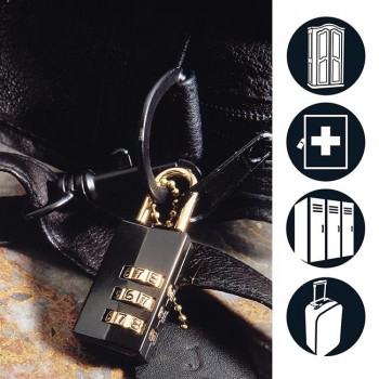 Master Lock - 646EURD Μπρούτζινο Λουκέτο Πέταλο Συνδυασμού 20mm - 646020112 Master Lock - 646EURD Μπρούτζινο Λουκέτο Πέταλο Συνδυασμού 20mm - 646020112