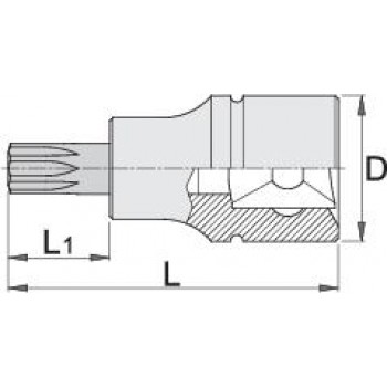 Unior - 192/2TX Κοντό Καρυδάκι με Μύτη Torx , Μέγεθος TX55 και Καρέ Υποδοχής 1/2inch - 605569 Unior - 192/2TX Κοντό Καρυδάκι με Μύτη Torx , Μέγεθος TX55 και Καρέ Υποδοχής 1/2inch - 605569