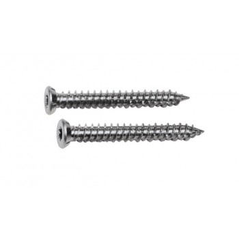 FF GROUP ΤΣΙΜΕΝΤΟΒΙΔΕΣ TORX 7.5Χ112 100ΤΜΧ 25882 FF GROUP ΤΣΙΜΕΝΤΟΒΙΔΕΣ TORX 7.5Χ112 100ΤΜΧ 25882