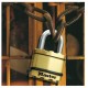 MASTER LOCK - SET OF 2 EXCELL RAISED SECURITY LOCKS 45MM WITH BRASS FINISH - M10021112