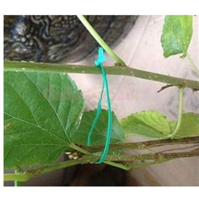 GARDEN WIRE GREEN - 50m - 29221 GARDEN WIRE GREEN - 50m - 29221