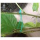 GARDEN WIRE GREEN - 50m - 29221 GARDEN WIRE GREEN - 50m - 29221