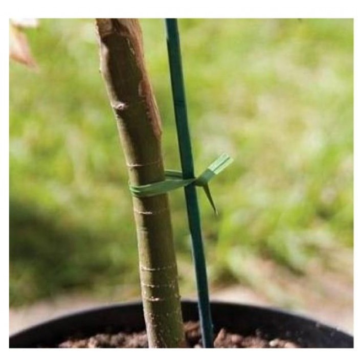 GARDEN WIRE GREEN - 50m - 29221 GARDEN WIRE GREEN - 50m - 29221