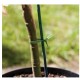 GARDEN WIRE GREEN - 50m - 29221 GARDEN WIRE GREEN - 50m - 29221